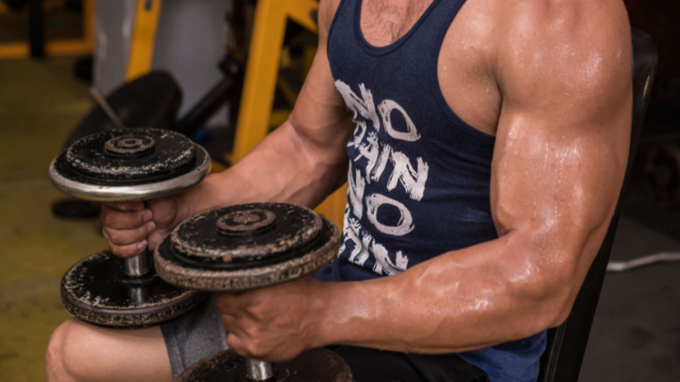 Muscular person seated holding dumbbells