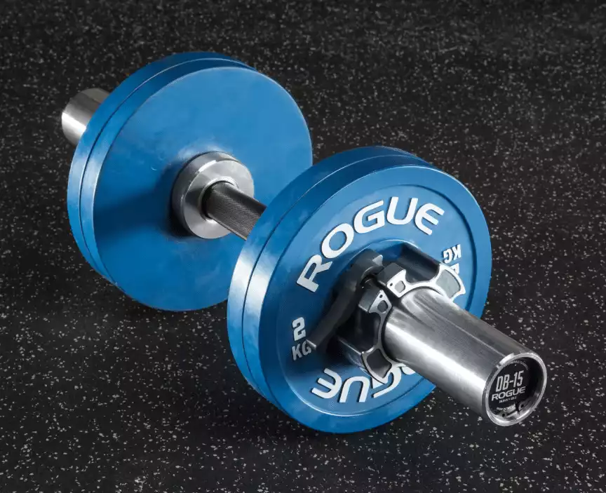 Rogue Loadable Dumbbells